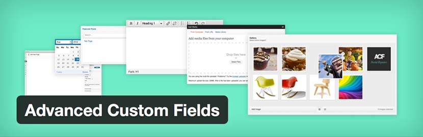 Advanced Custom Fields WordPress plugin