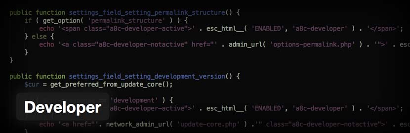 Developer WordPress plugin