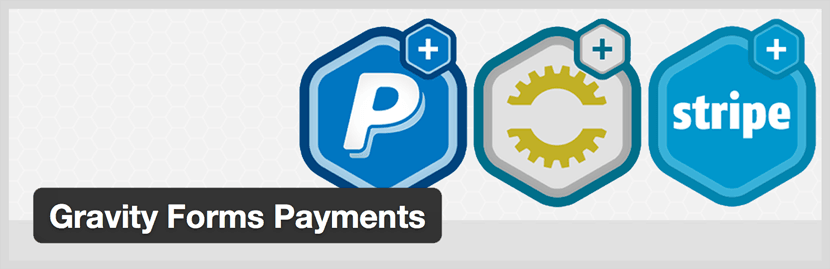 Gravity Forms payments WordPress plugin