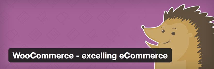 WooCommerce WordPress plugin