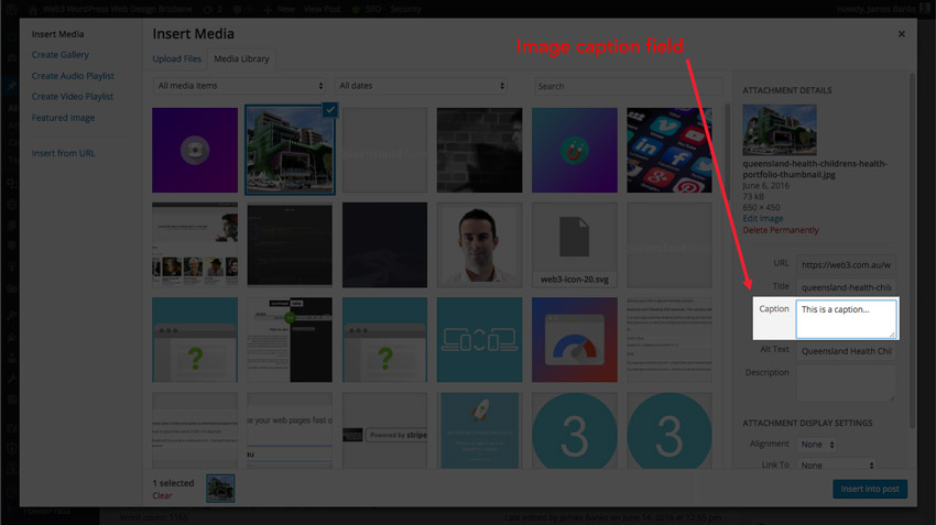 Website image caption field view from the WordPress media section