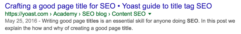 SEO SERPs Snippit Example