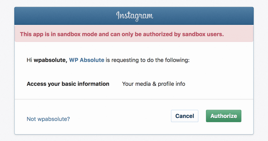 Instagram API - Authorize Website Access