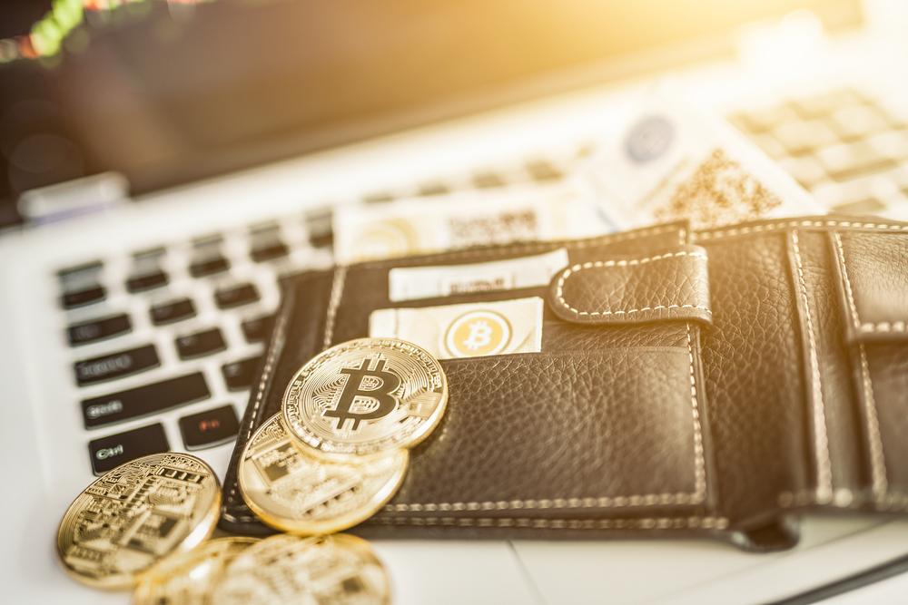 Bitcoins in cryptocurrencies wallet