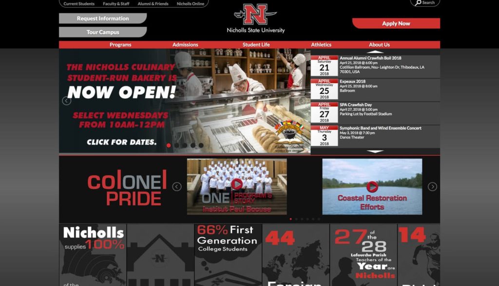 Nicholls State University Website
